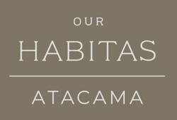 Our Wellness at Our Habitas Atacama