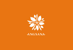 Angsana Spa Luang Prabang at Maison Souvannaphoum Hotel by Angsana