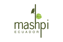 The Spa at Mashpi Lodge (Ecuador)